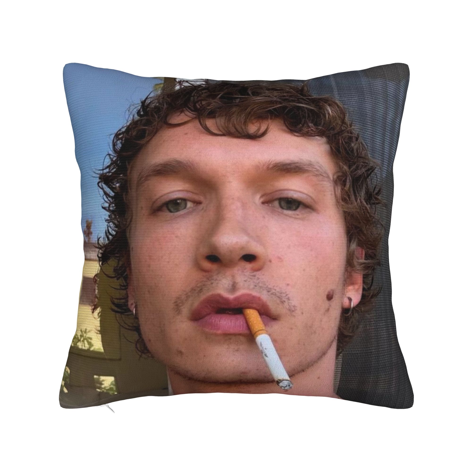 Decorative Pillow Cover Hudson - Pillow Cover Sublimation recension och pris